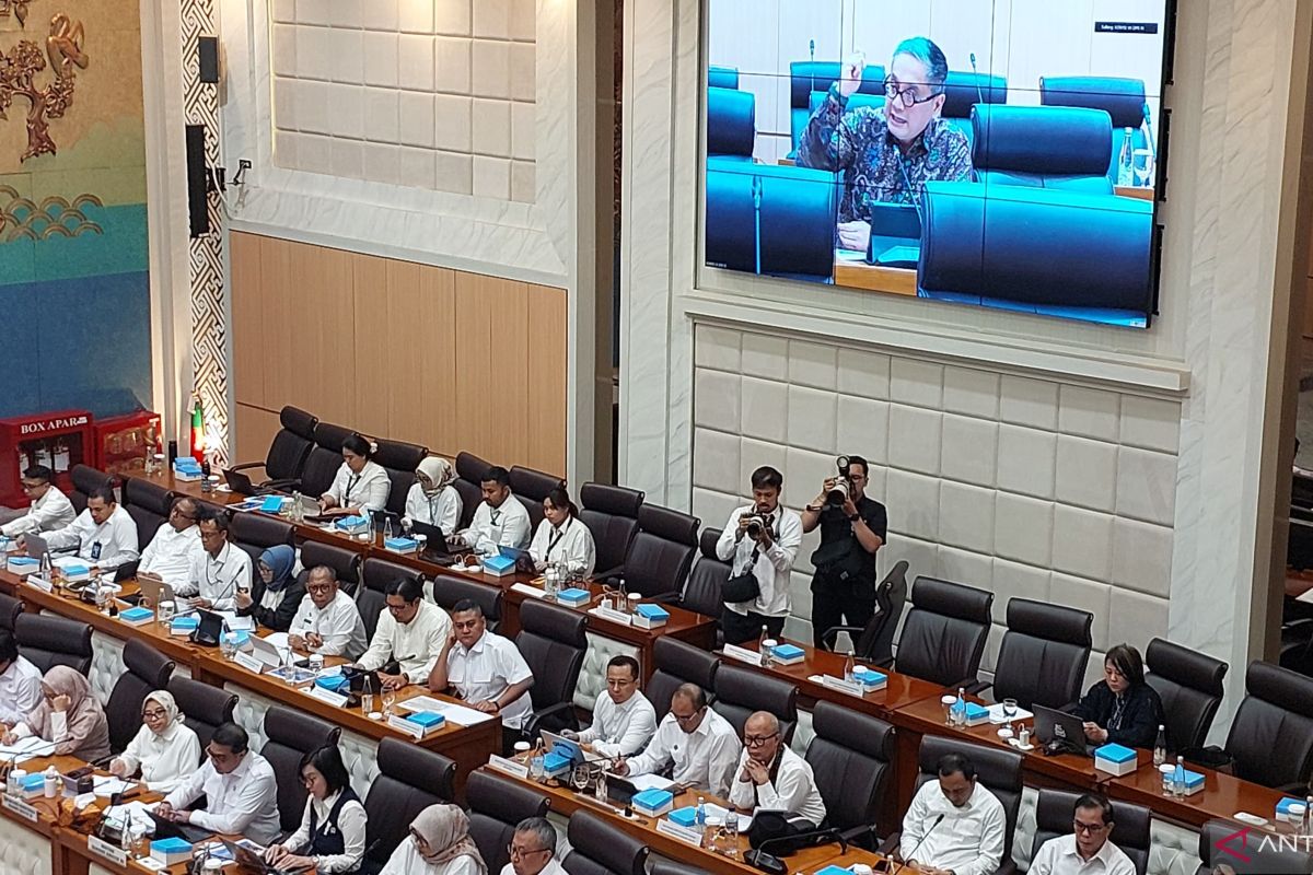 Legislator proposes guarantee institution for creative industry intellectual property