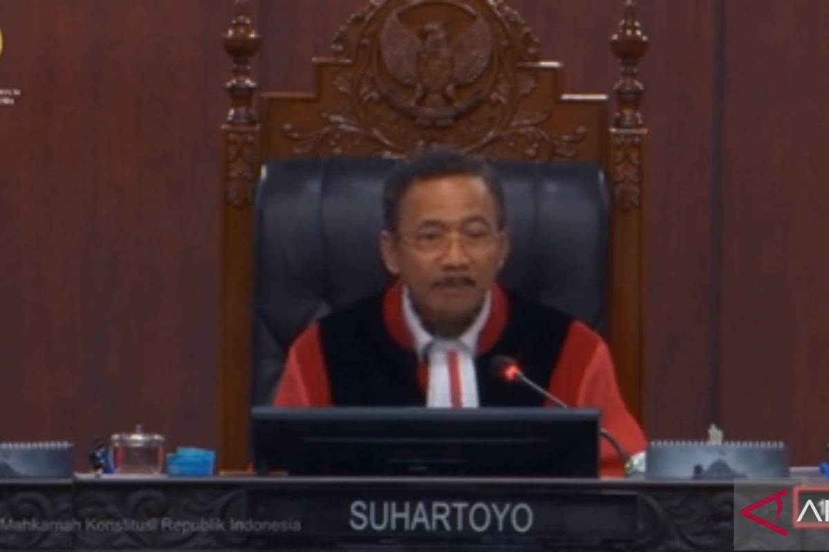 Constitutional Court hears witnesses and experts in judicial review of free nutritious meal programme