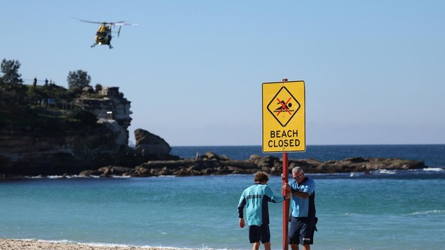 Shark Attack in Australia Sparks Debate on Culling and Climate Impact