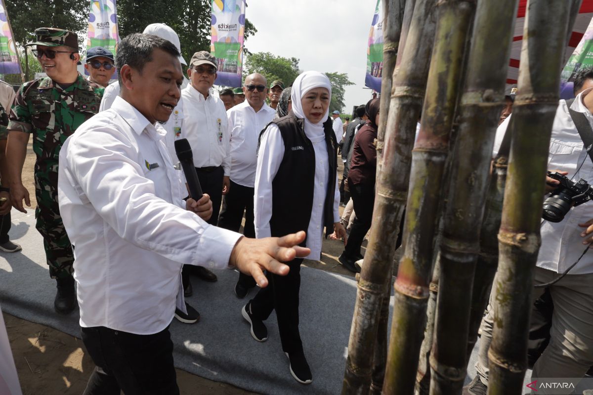 Ministry of Agriculture Ready to Oversee Yield Increase in Ratoon Clearance Programme