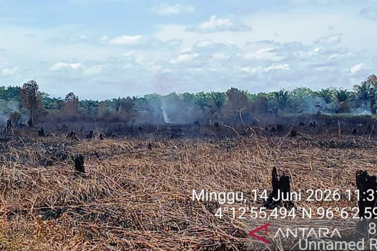 Expert: Environmental Law Opens Door for Limited Controlled Burning