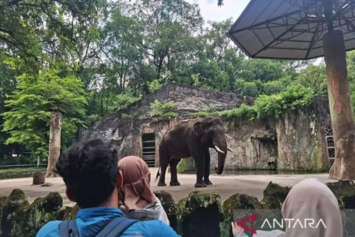 Jakarta round-up: Ragunan offers free entry, Pramono attends World Cities Summit in Singapore