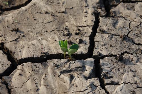 Climate Change Refugees in Zimbabwe Face Eviction Threat from New Lands