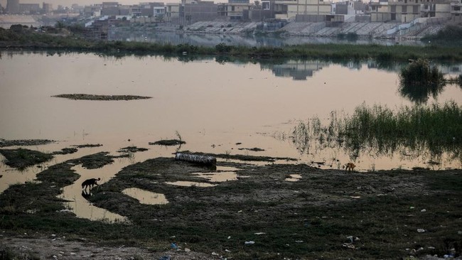 The Middle East's Lifeline is Drying Up: A Prophetic Warning and a Looming Catastrophe