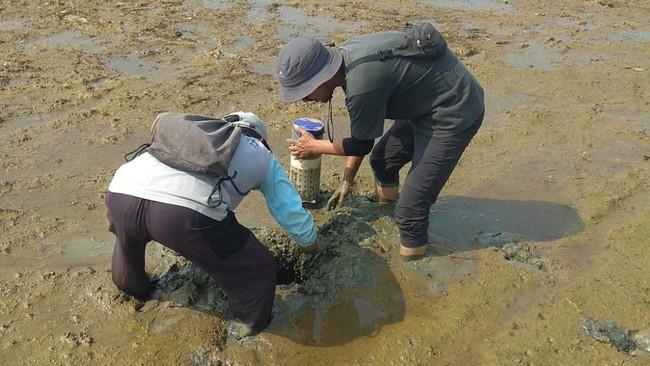 Beware of 'Leaking Hell' Hitting Indonesia, Researcher Reveals the Facts