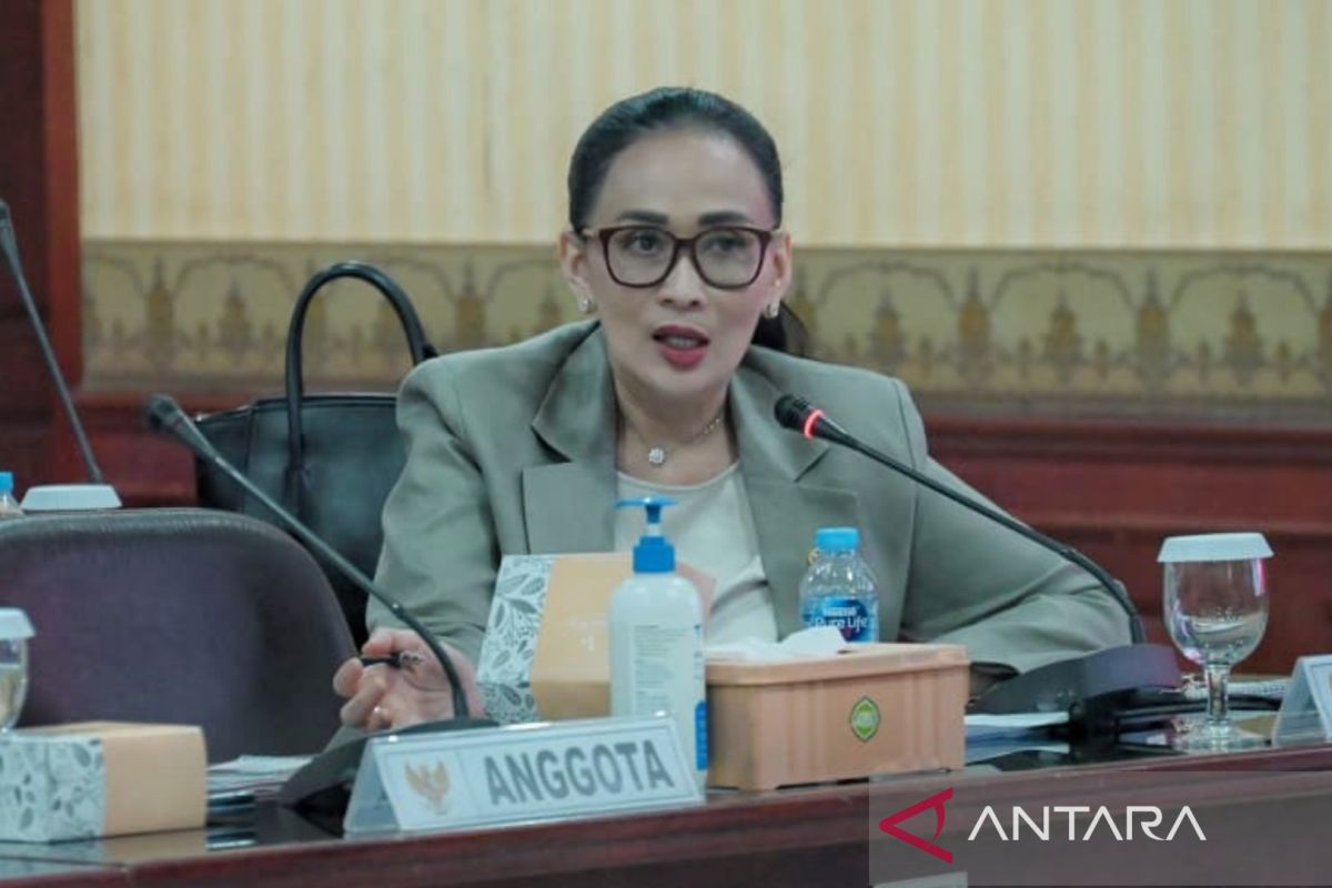 DPR Member Says Indonesia Must Appreciate US-Iran Understanding