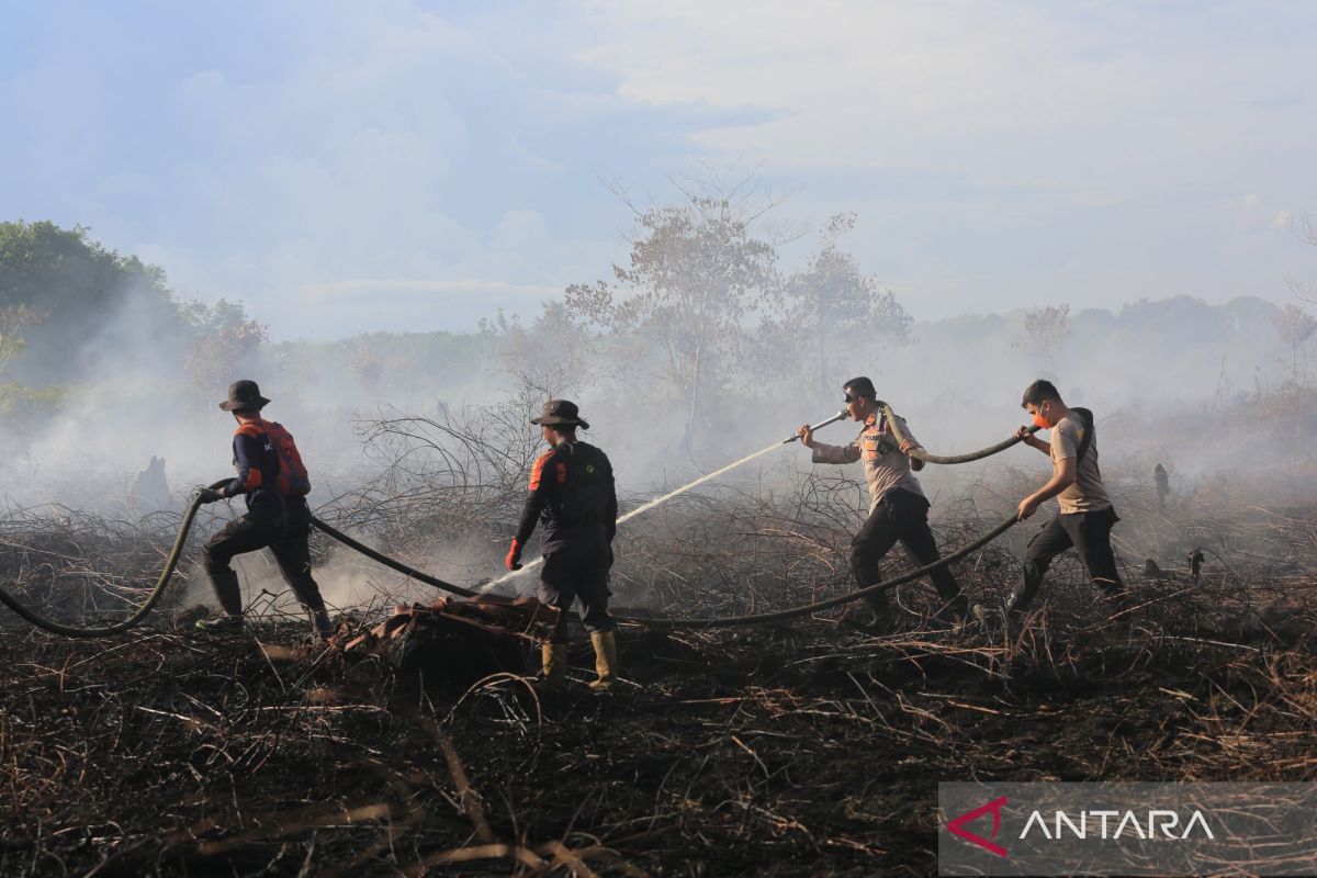 Indonesia studies prescribed burning to curb wildfires