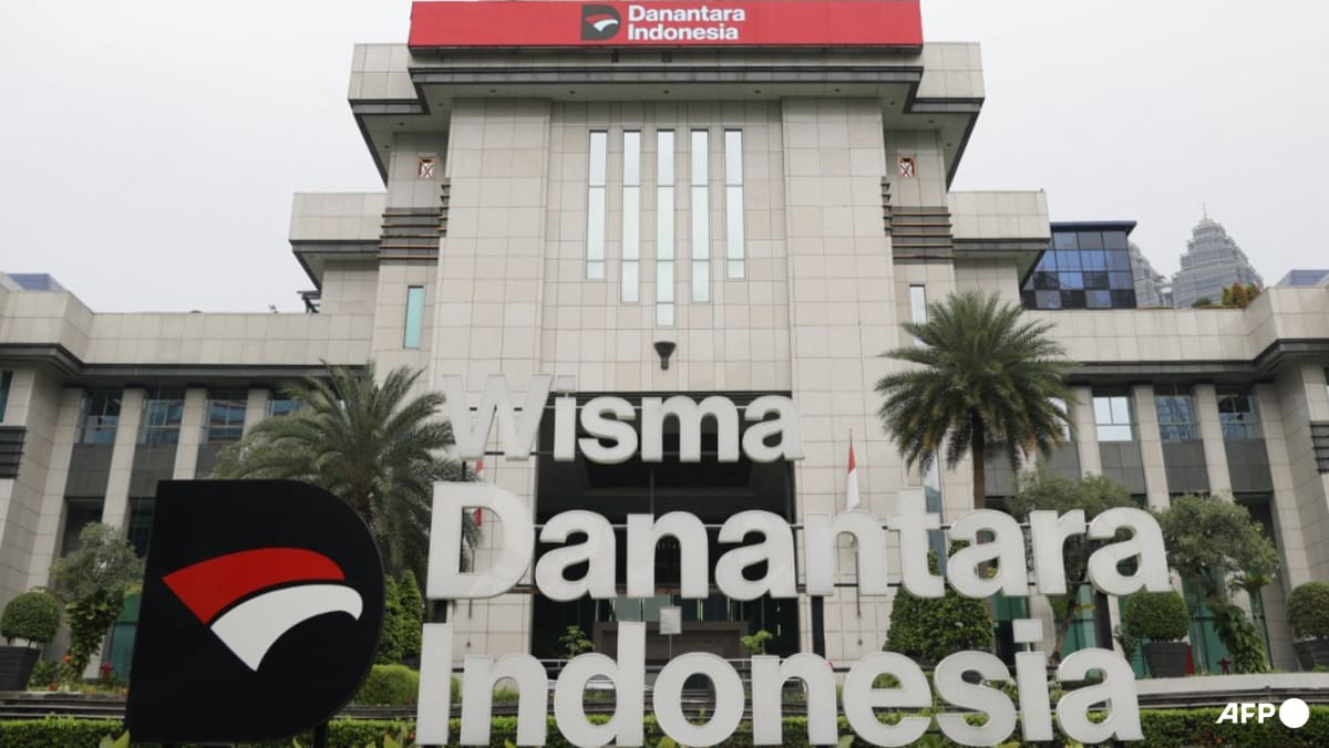Investor confidence high: Indonesia touts Danantara bond success