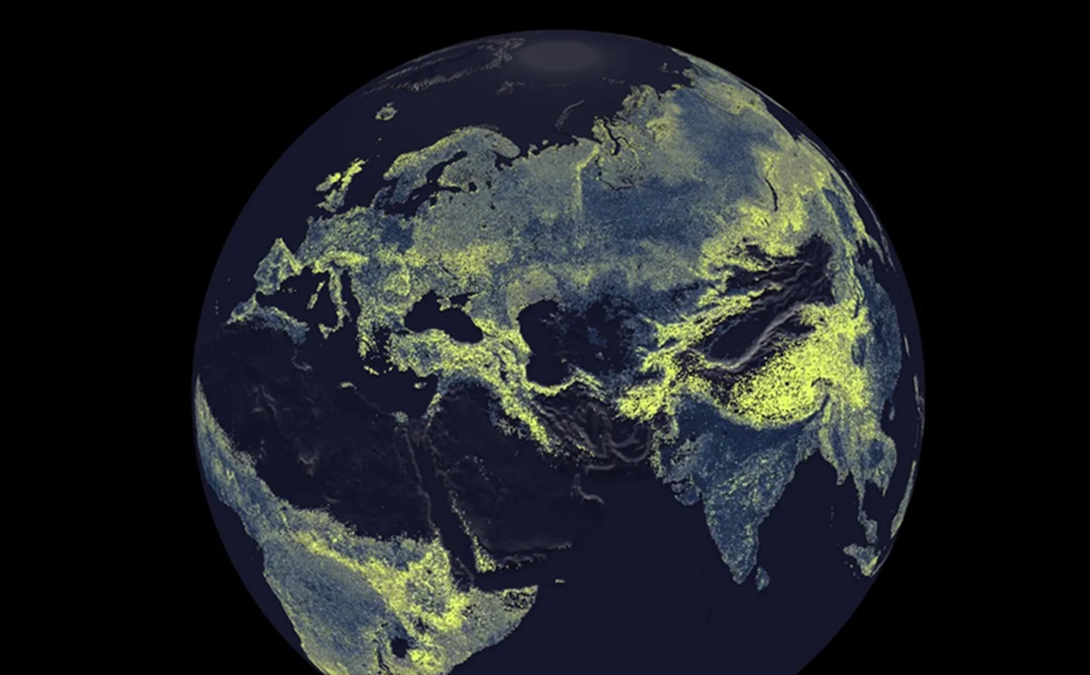 Scientists Map Underground Fungal 'Motorway' 1 Billion Times the Earth-Sun Distance