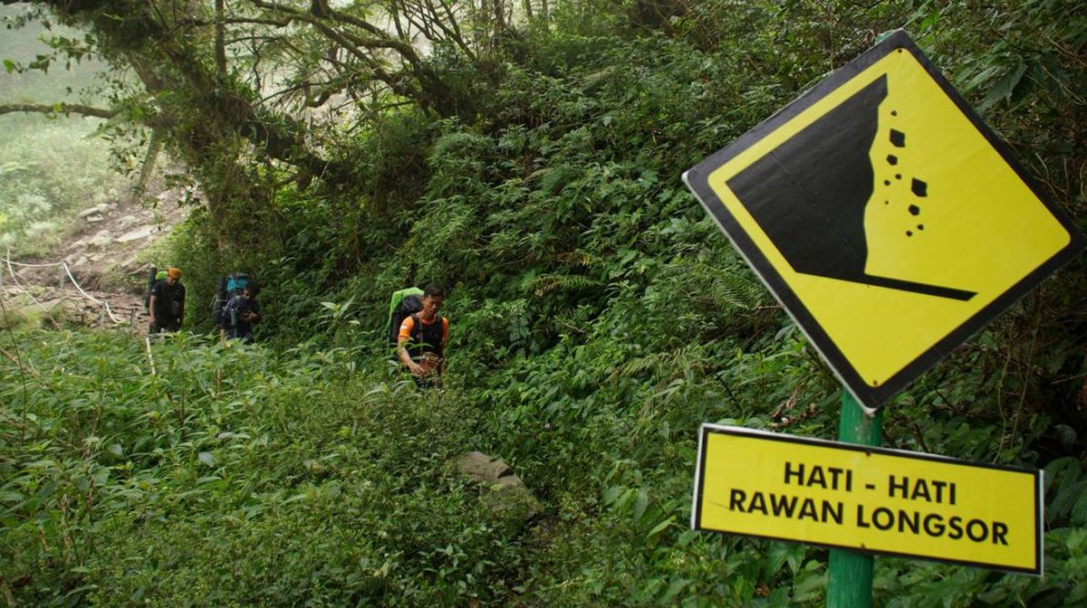 13 Illegal Hikers Arrested on Mount Semeru, Four Others Still Sought