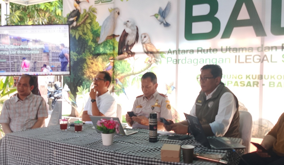 Bali Becomes Hub for Wild Bird Trade Driven by High Demand in Java