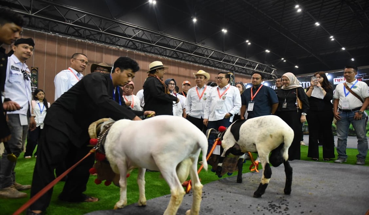 Indo Livestock 2026 Officially Opens, Featuring First Indoor Garut Sheep Contest
