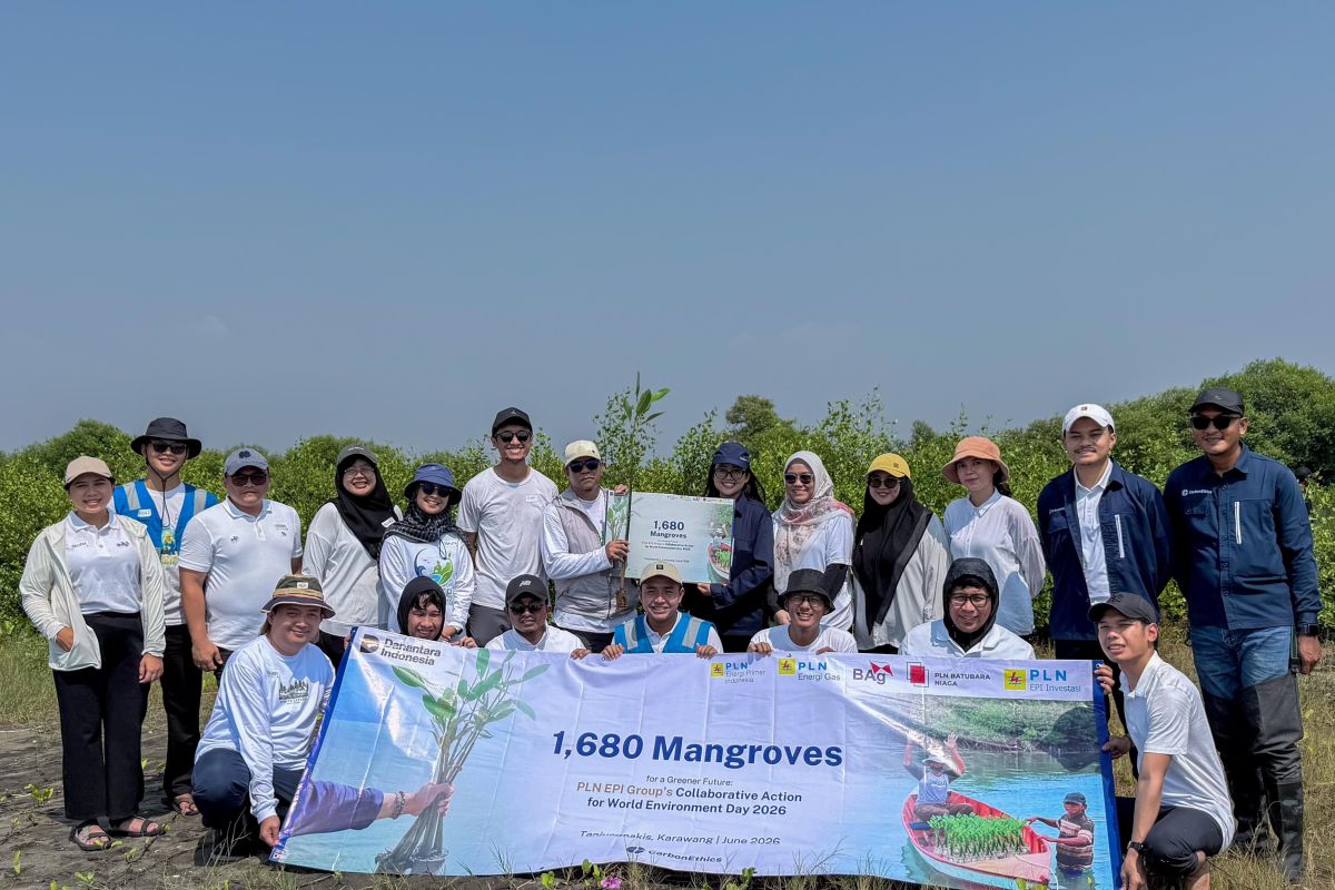 1,680 Mangroves Planted to Protect Coastline from Abrasion