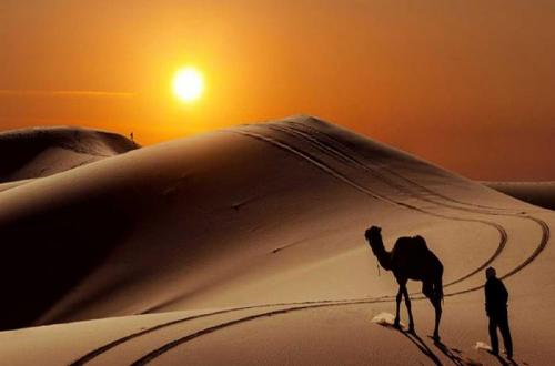Why Madinah Was More Prepared to Embrace Islam Than Makkah