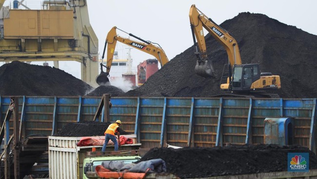 Energy Ministry Reveals PLN's Coal Needs, Here's the Figure