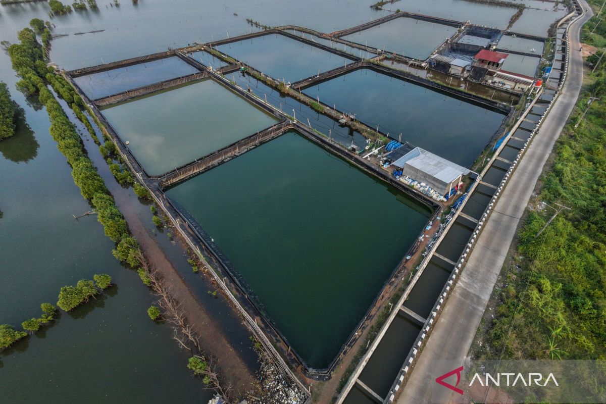 FAO: Asia leads global aquatic animal production growth