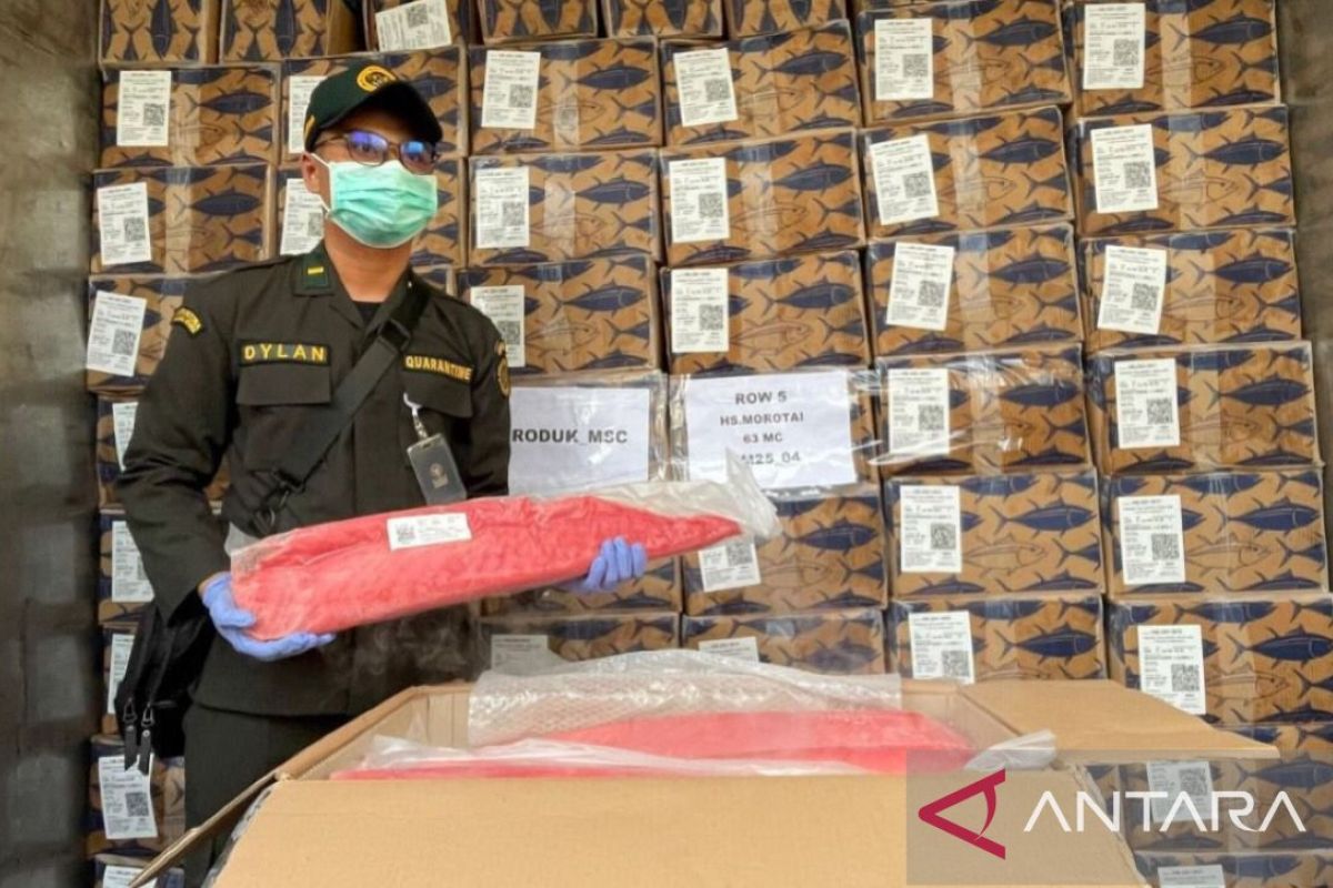 Maluku Quarantine Agency Oversees First Frozen Tuna Export to Thailand