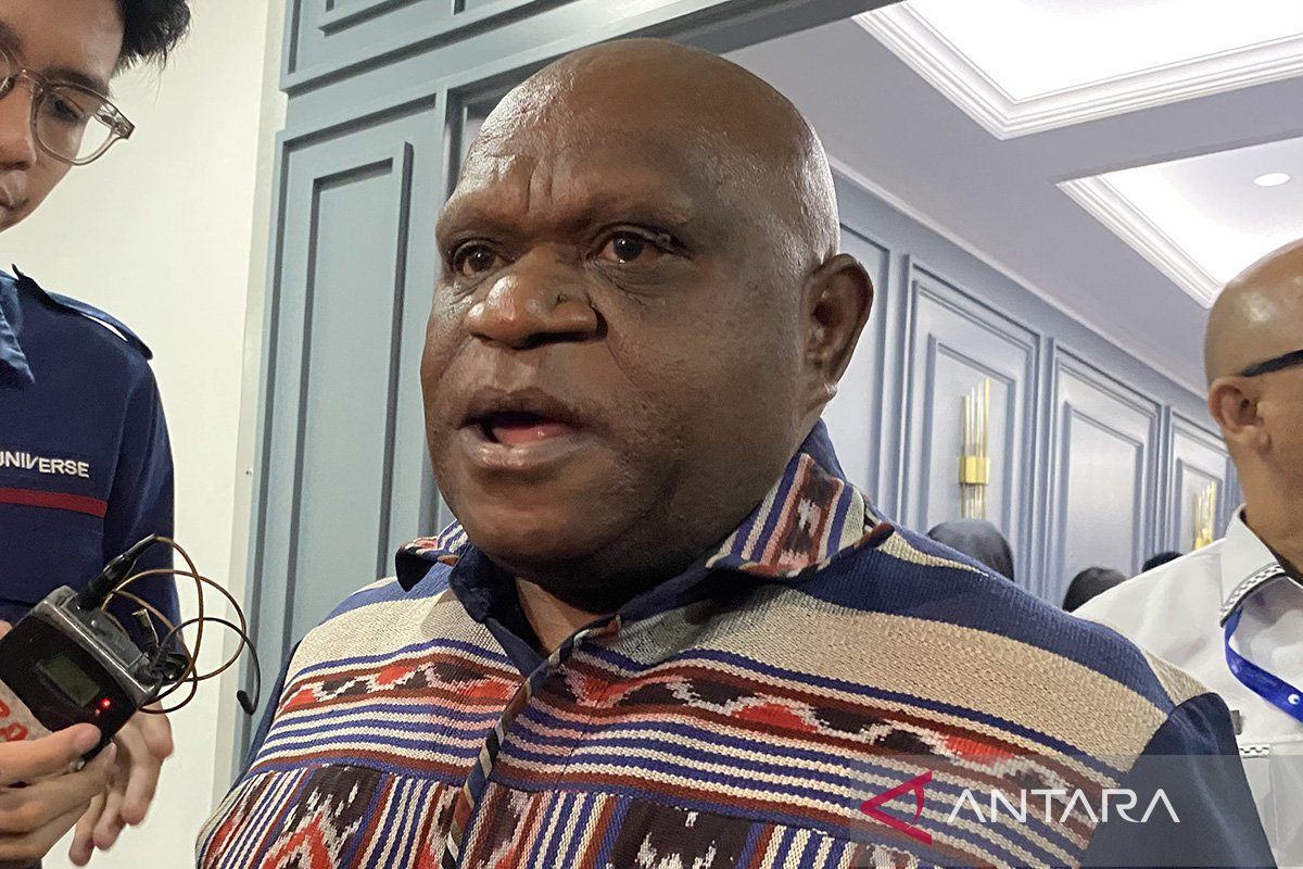 Minister Pigai says sterilisation of Bundaran HI from protests does not limit rights