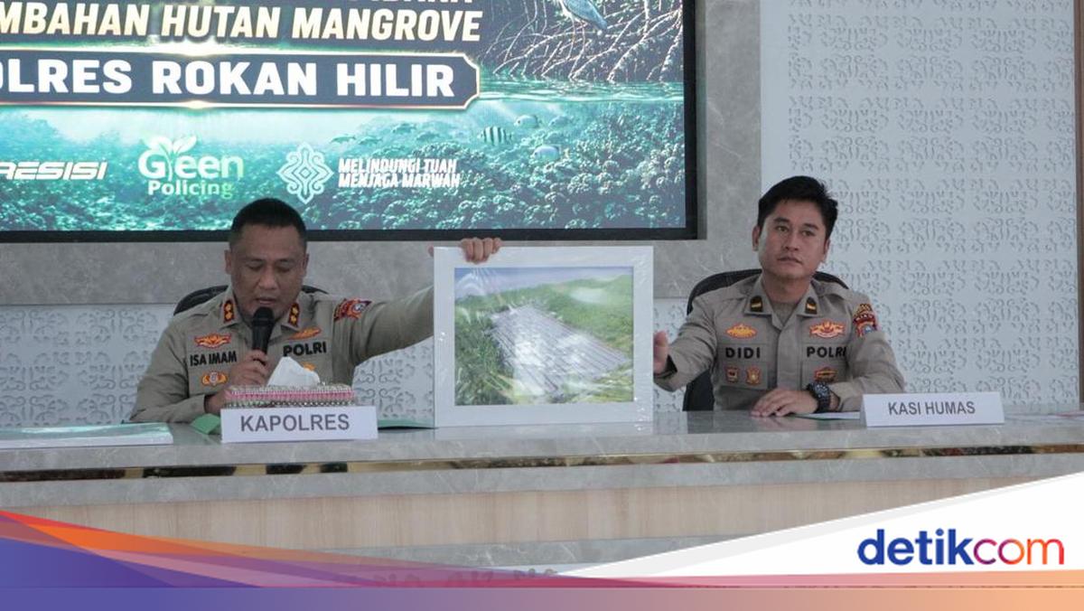 Three Hectares of Mangrove Forest Cleared, Man in Rokan Hilir Named Suspect