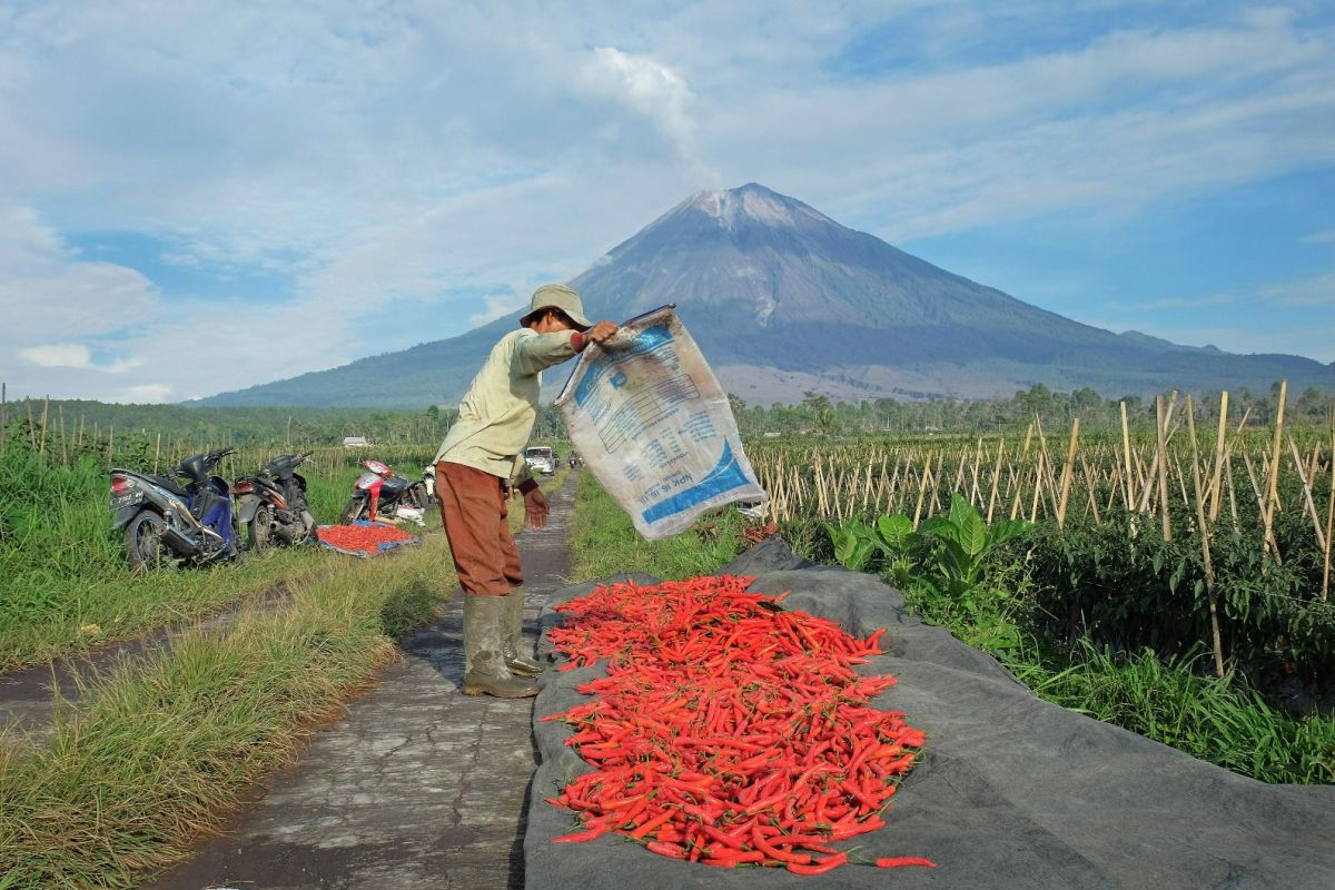 BRI Affirms No Additional Collateral Required for KUR Loans Up to IDR 100 Million