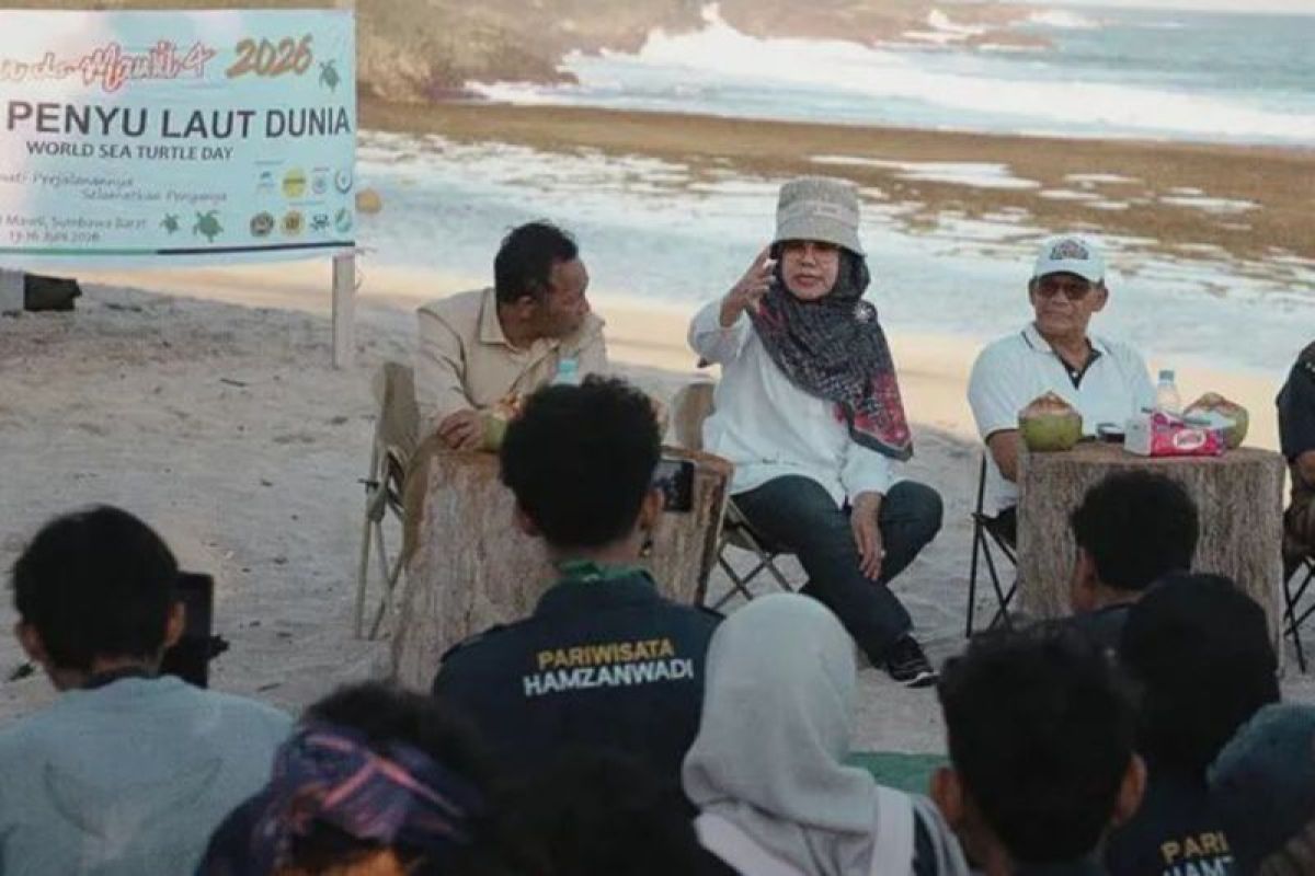 West Sumbawa Regency supports coastal community education to conserve turtles