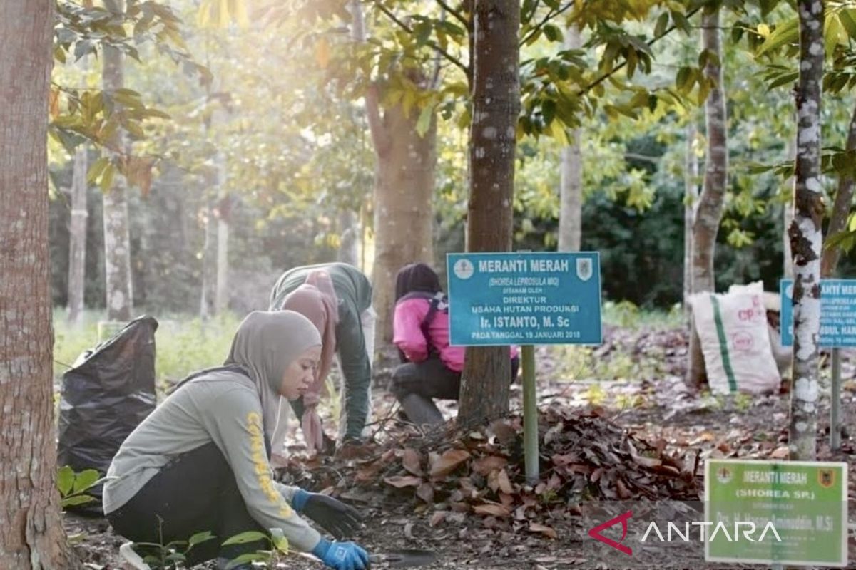 South Kalimantan Forestry Service Makes Tropical Forest Park a Model for Circular Economy