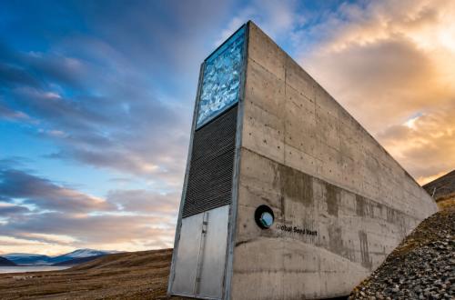 Hidden in the Arctic, Svalbard's Treasure of 1.4 Million Seeds Prepared to Face Global Crisis