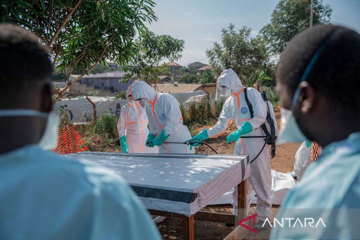 Ebola death toll in DR Congo reaches 196