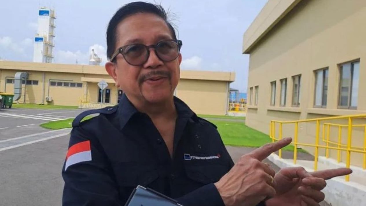 Freeport Boss Reveals Draft Divestment Agreement for 12% Stake Submitted to Government