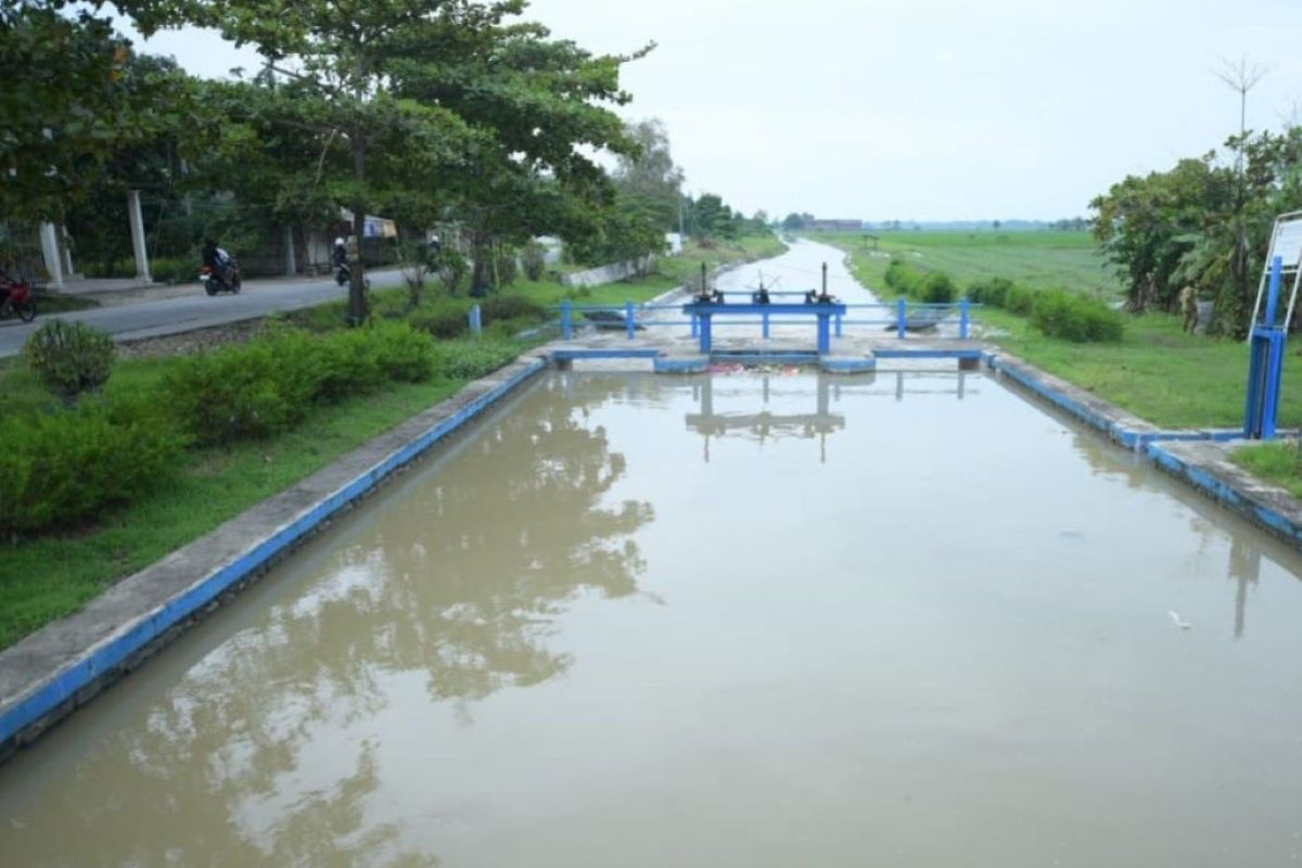 Observer: Presidential Instruction on Irrigation Key to Safeguarding Food Security Against El Niño