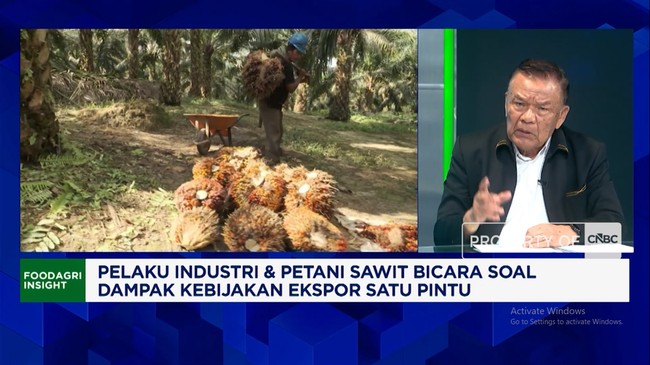 Palm Oil Entrepreneurs Propose Commodity Exchange Model to Prevent Monopoly by State-Owned Exporter PT DSI