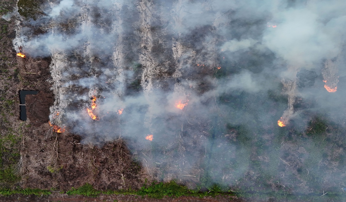Hotspots Surge 205%, Government Declares Six Provinces on Alert for Forest and Land Fires