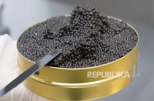 Turkey Targets Russia's Caviar Throne, Worth Billions of Dollars