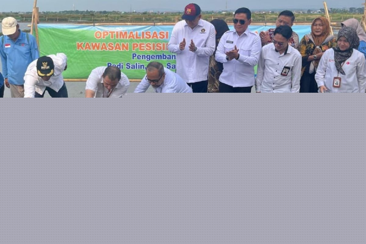 PGN and BRIN boost coastal land economy through Minapadi Salin programme