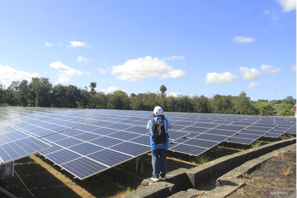 PLN says Oelpuah solar plant helps meet peak daytime electricity demand