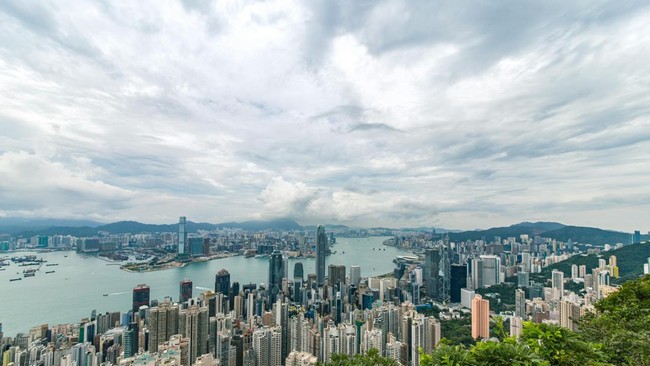 Hong Kong Suddenly Paralysed: Schools Shut and Businesses Halted