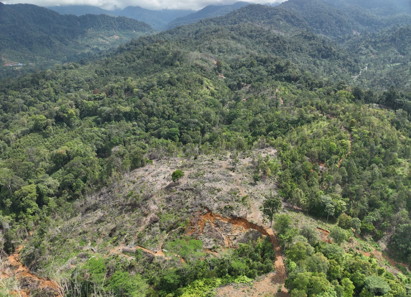 WALHI West Sumatra Criticises Rp1.18 Billion Budget for Official Facilities