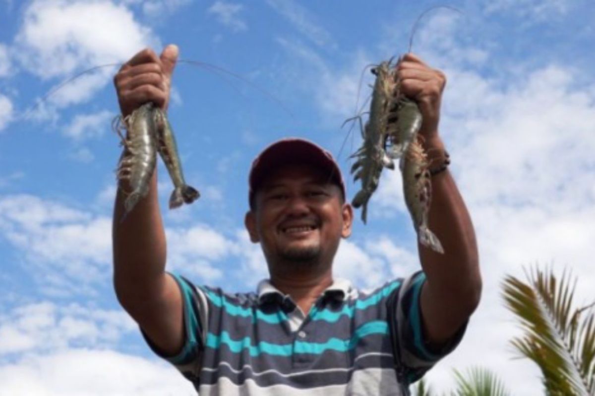 Tiger Prawns: A Coastal Mainstay Commodity Penetrating the Global Market