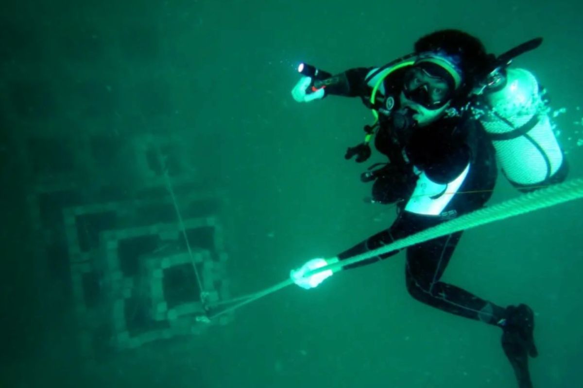 Diponegoro University Scientists Create Artificial Coral Reefs from Industrial Waste