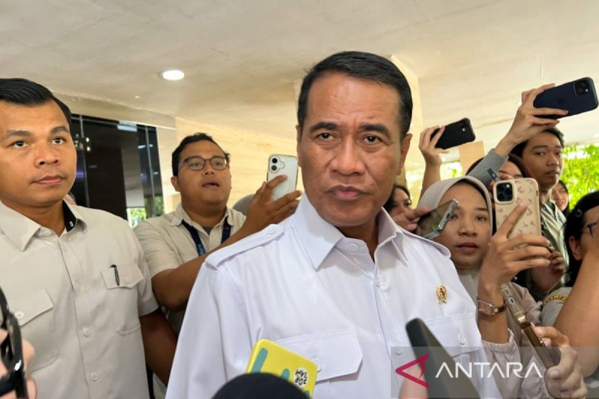 Palm oil FFB prices rise after tighter government oversight