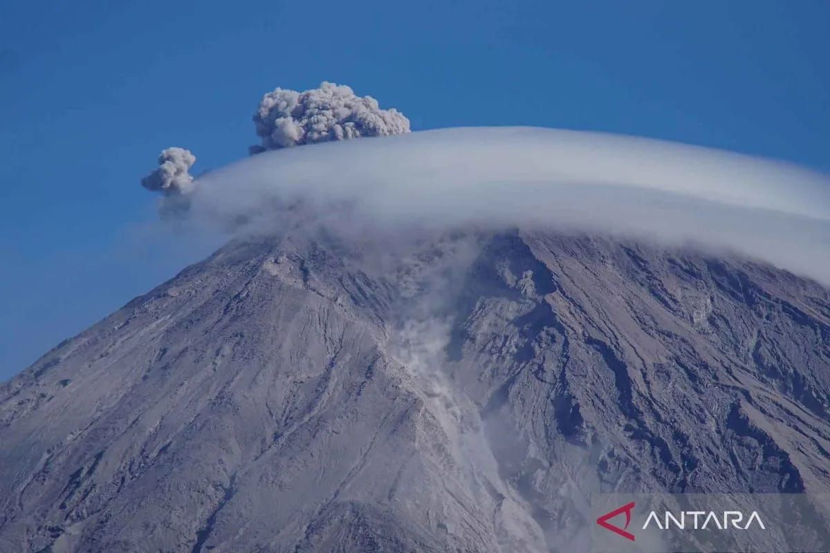 TNBTS Officials Detain Four Illegal Hikers on Mount Semeru