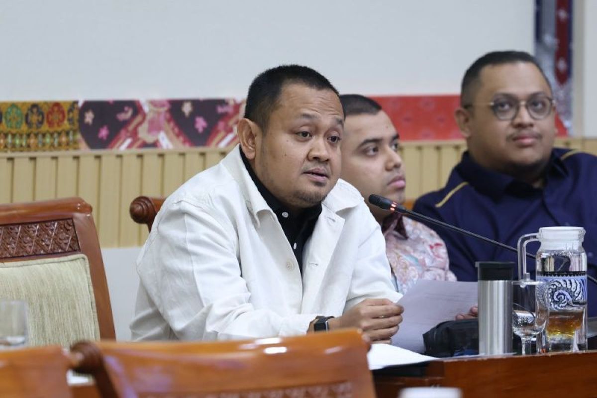 Legislator Urges Maximum Asset Tracing in Hanania Travel Fraud Case