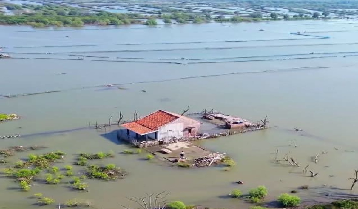 Prolonged Tidal Flooding Hits Central Java's North Coast, Residents on High Alert
