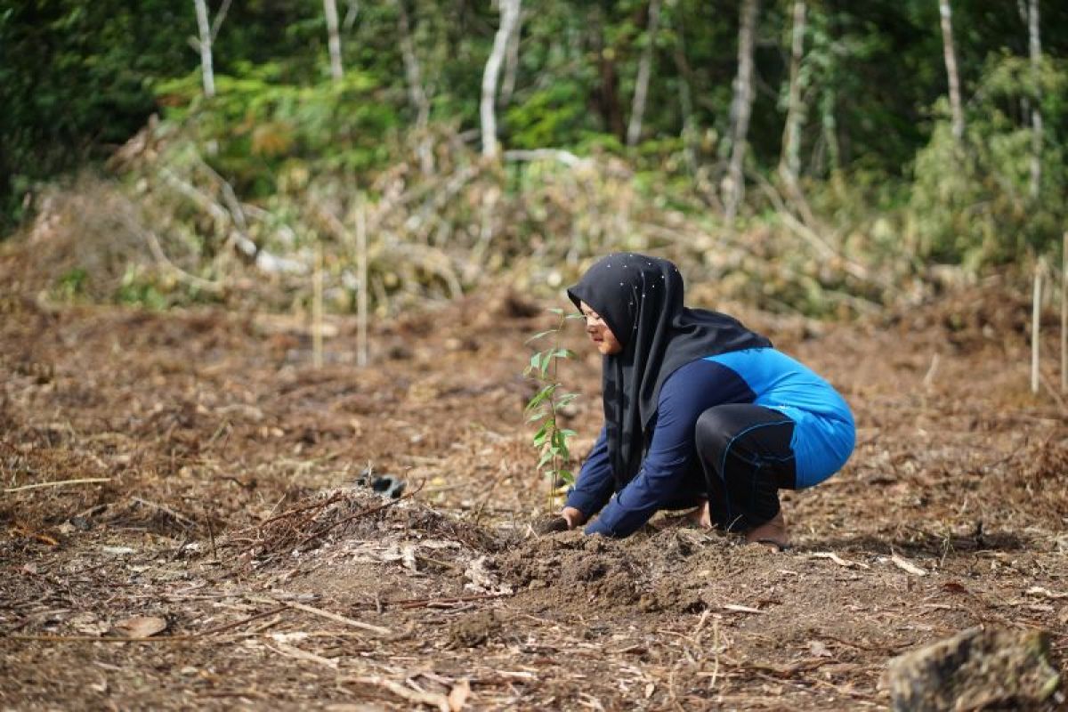 Government, KI and SRI Support Community-Led Restoration in Batang Toru