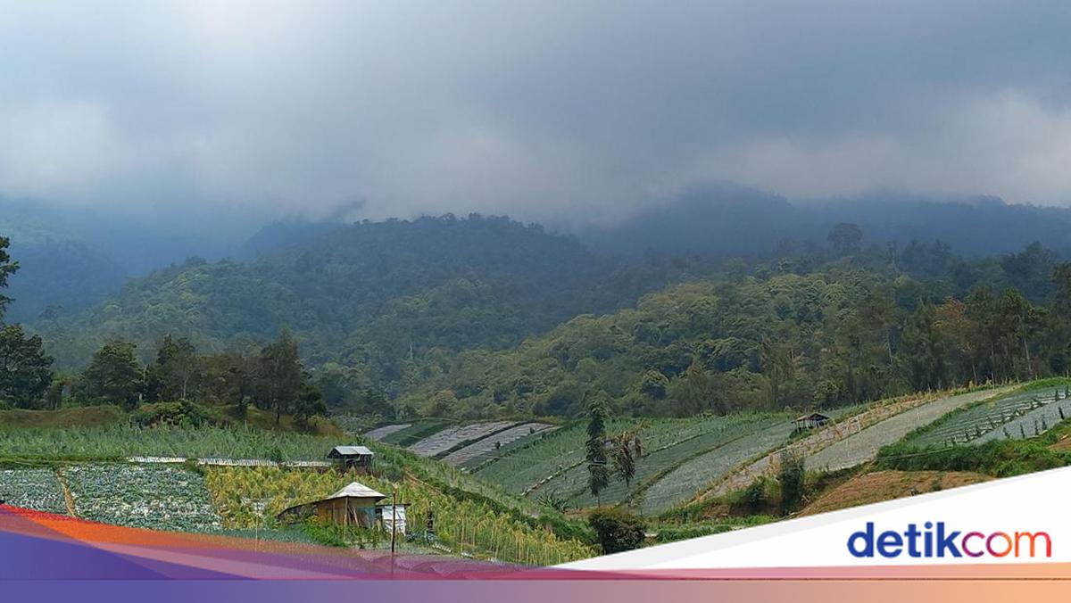 Viral Claim of Mount Lawu Mega Eruption Is a Hoax, Says PVMBG
