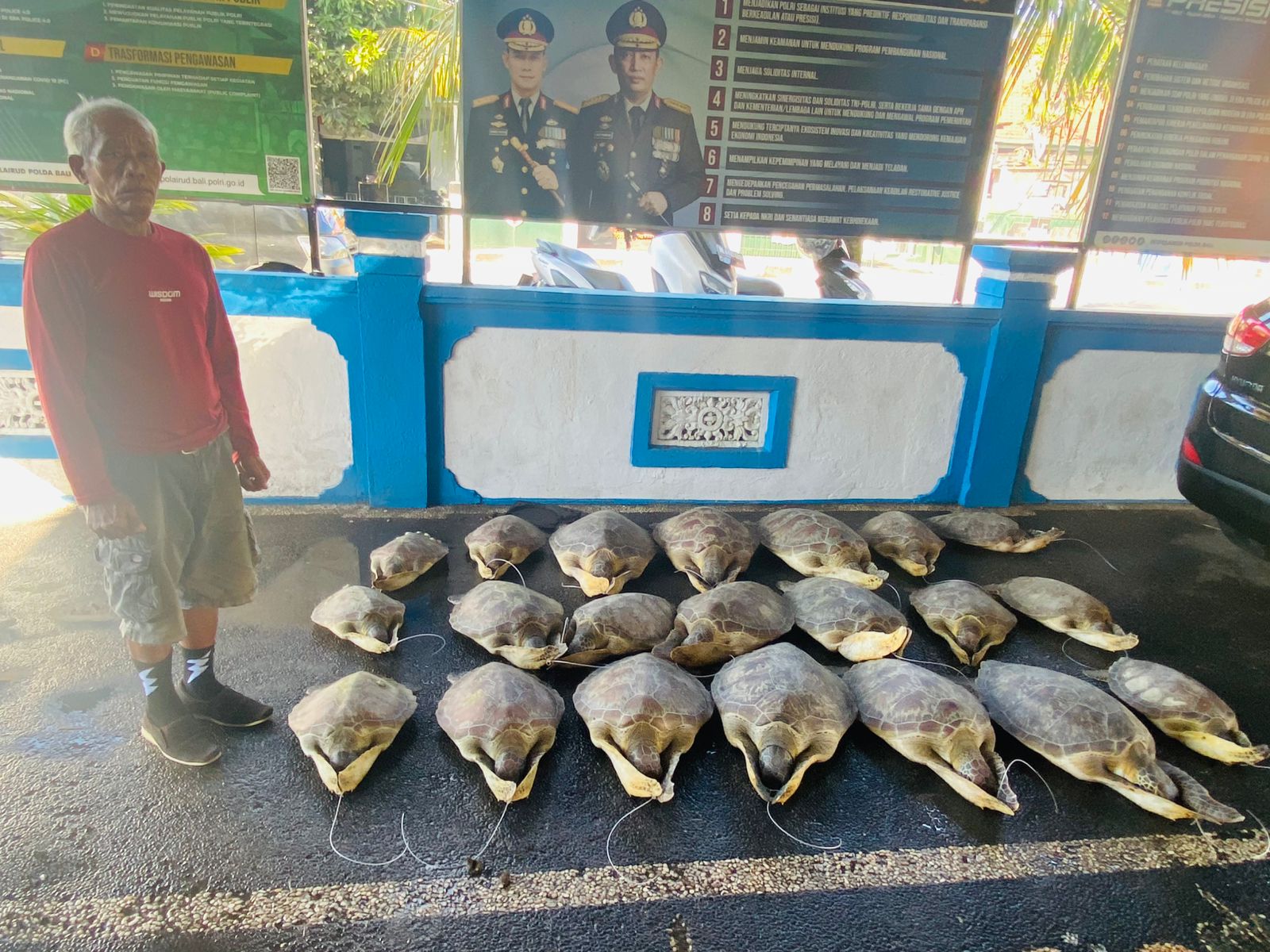 Bali Water Police Foil Smuggling of 21 Green Sea Turtles in Buleleng, One Suspect Arrested
