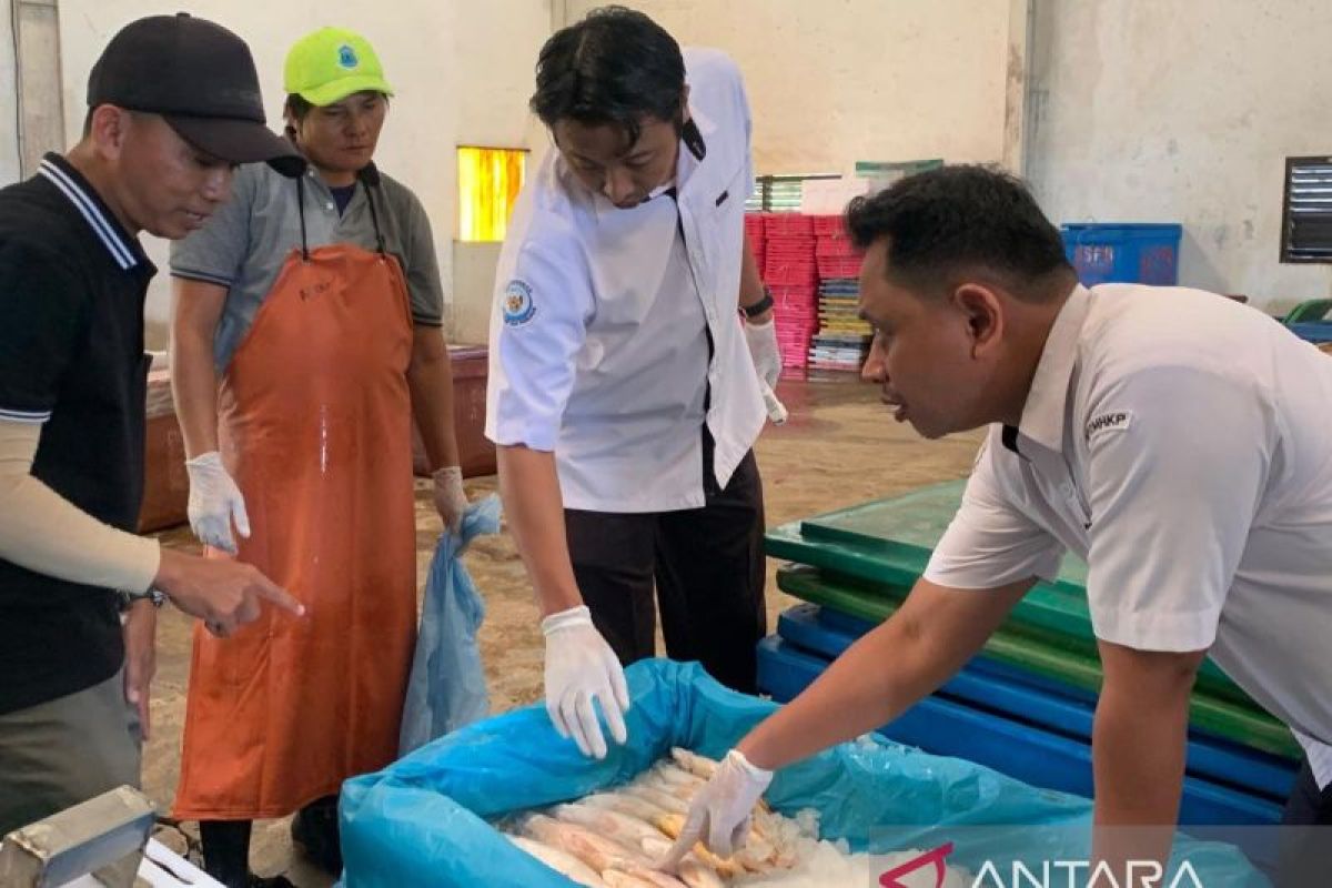 Ministry of Marine Affairs and Fisheries Confirms Free Certification for Fishery Product Quality