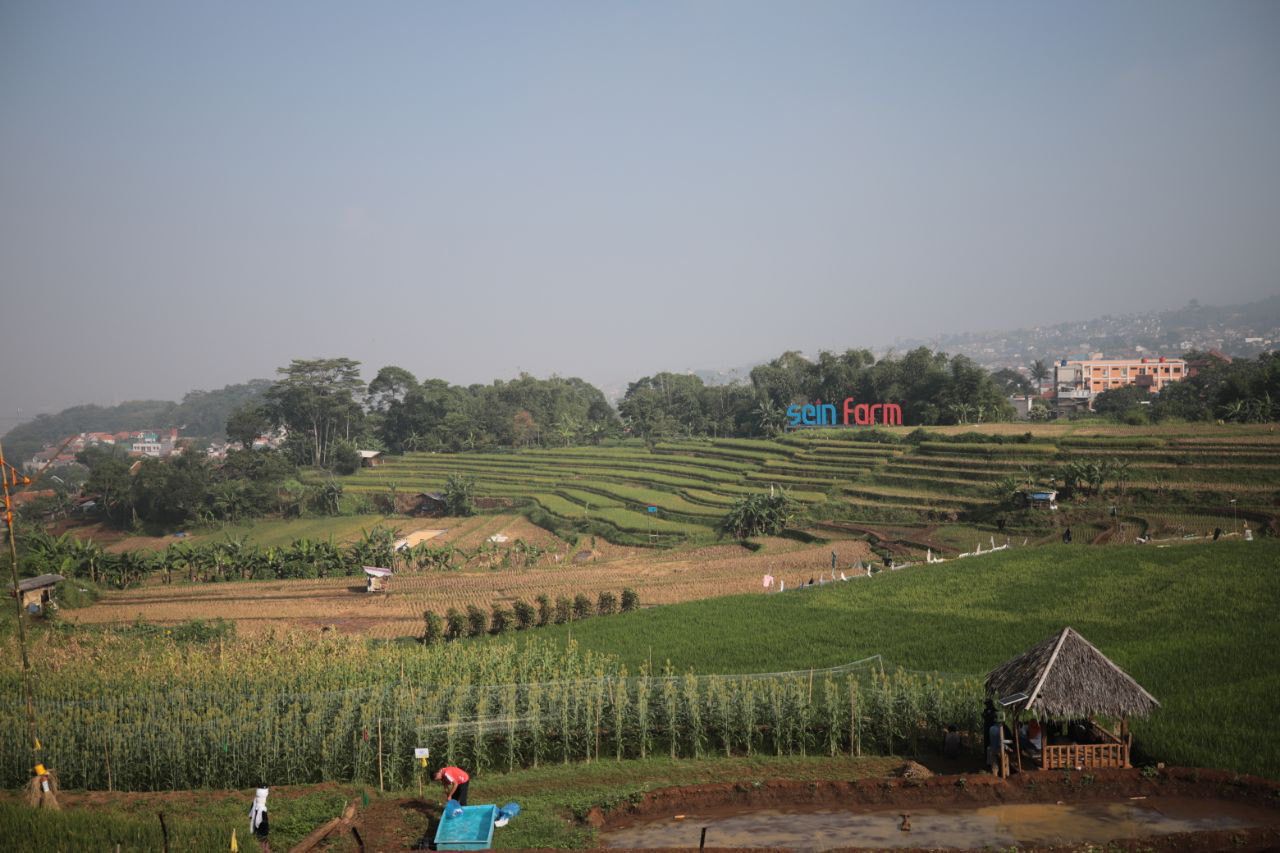 Bandung City's Food Security Still Dependent on Supplier Regions