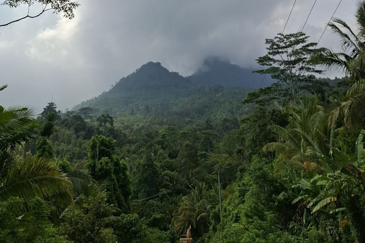 Ministry of Forestry sharpens Multiforestry Business concept through revision of Regulation P.8