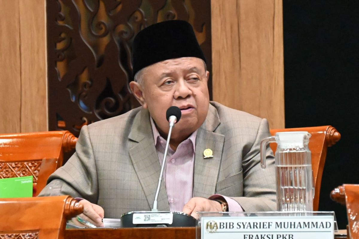 Legislator: Library sector budget is Indonesia's long-term investment
